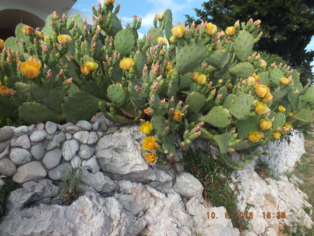 Apartments Amore Baška Buitenkant foto